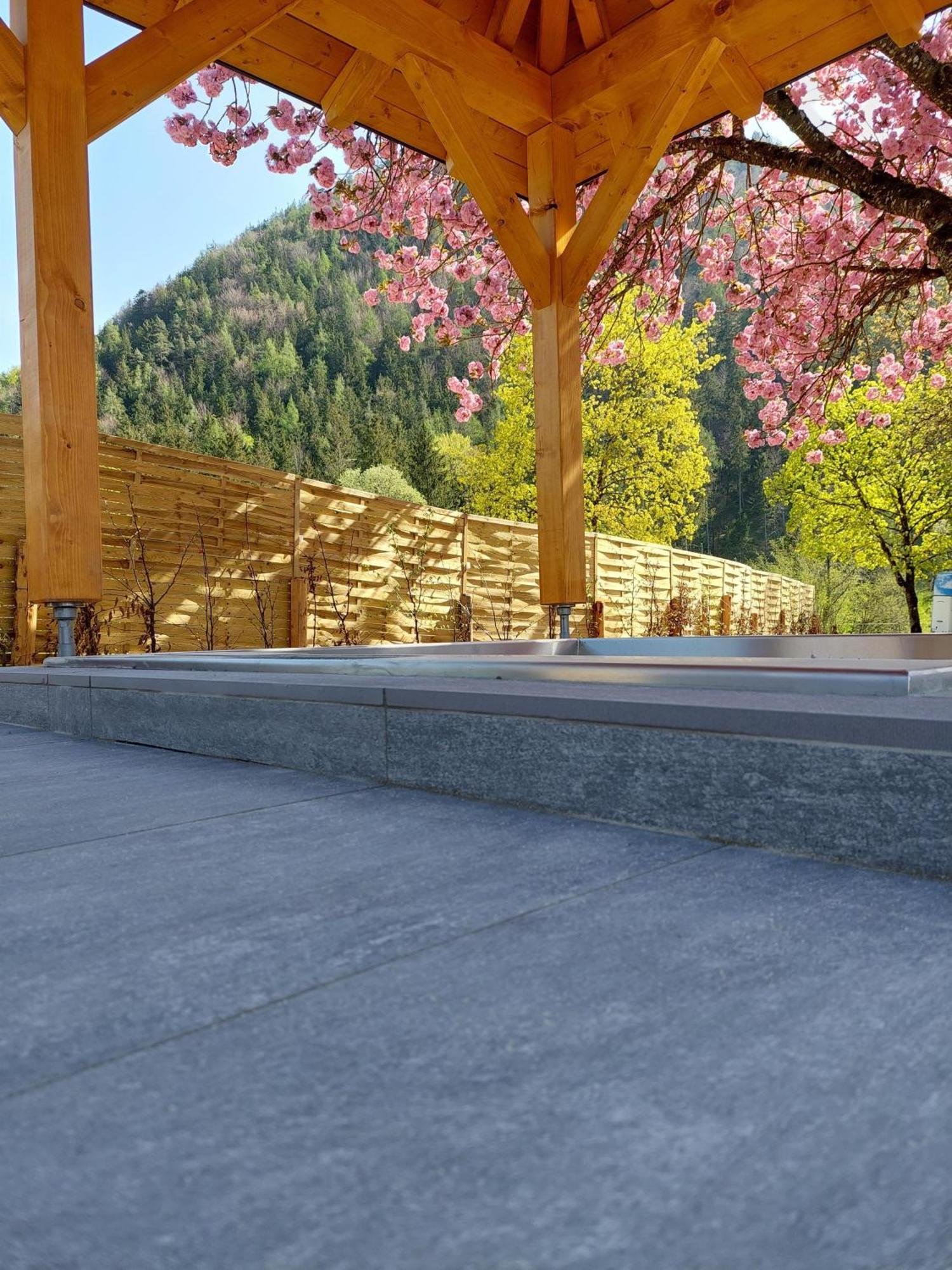 Hofpower'S Mountain Feeling Lägenhet Hinterstoder Exteriör bild