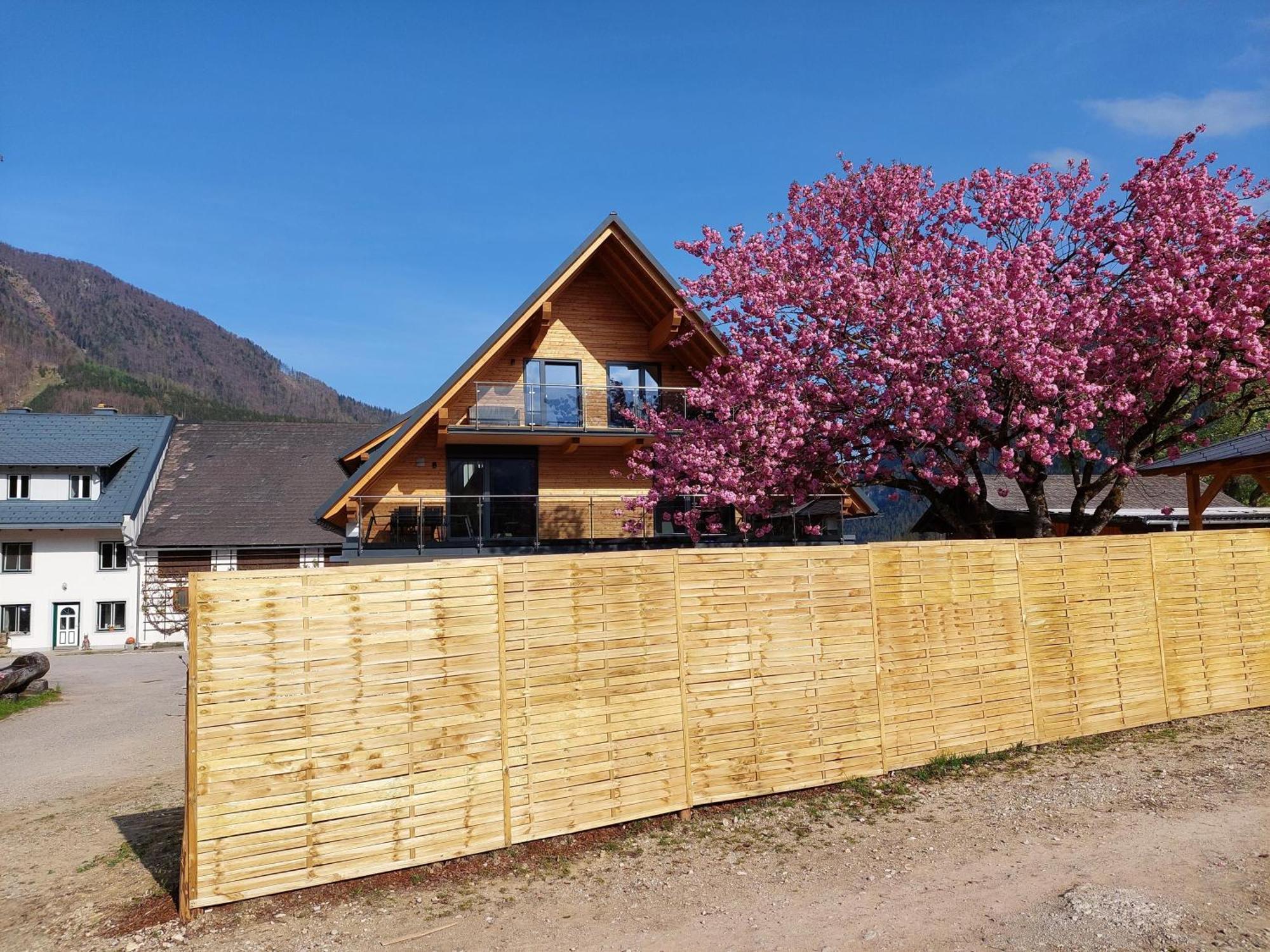 Hofpower'S Mountain Feeling Lägenhet Hinterstoder Exteriör bild