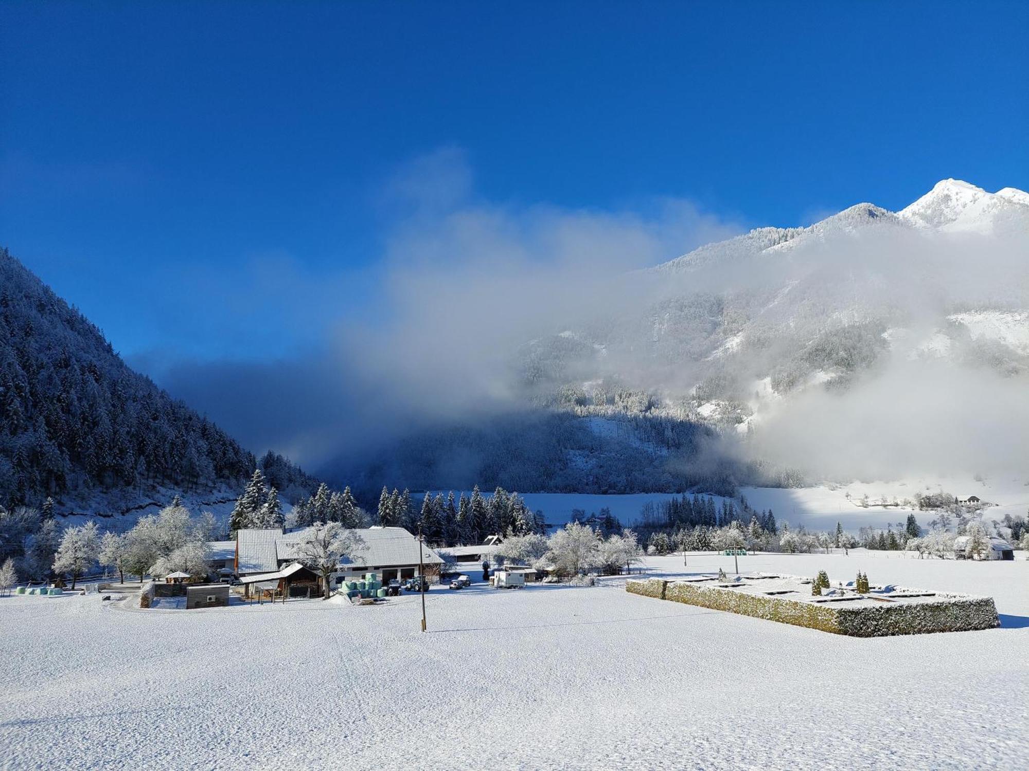 Hofpower'S Mountain Feeling Lägenhet Hinterstoder Exteriör bild