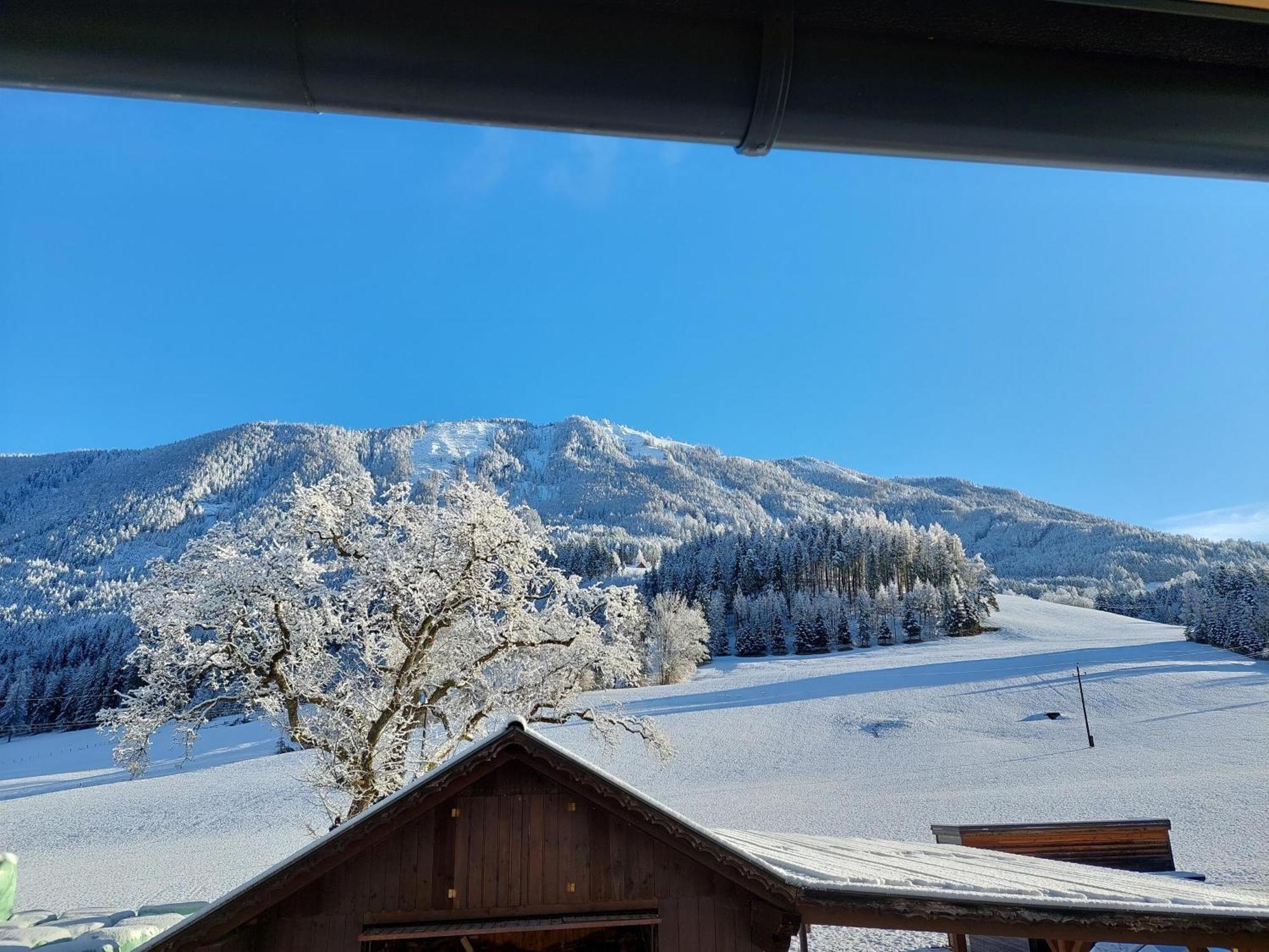 Hofpower'S Mountain Feeling Lägenhet Hinterstoder Exteriör bild