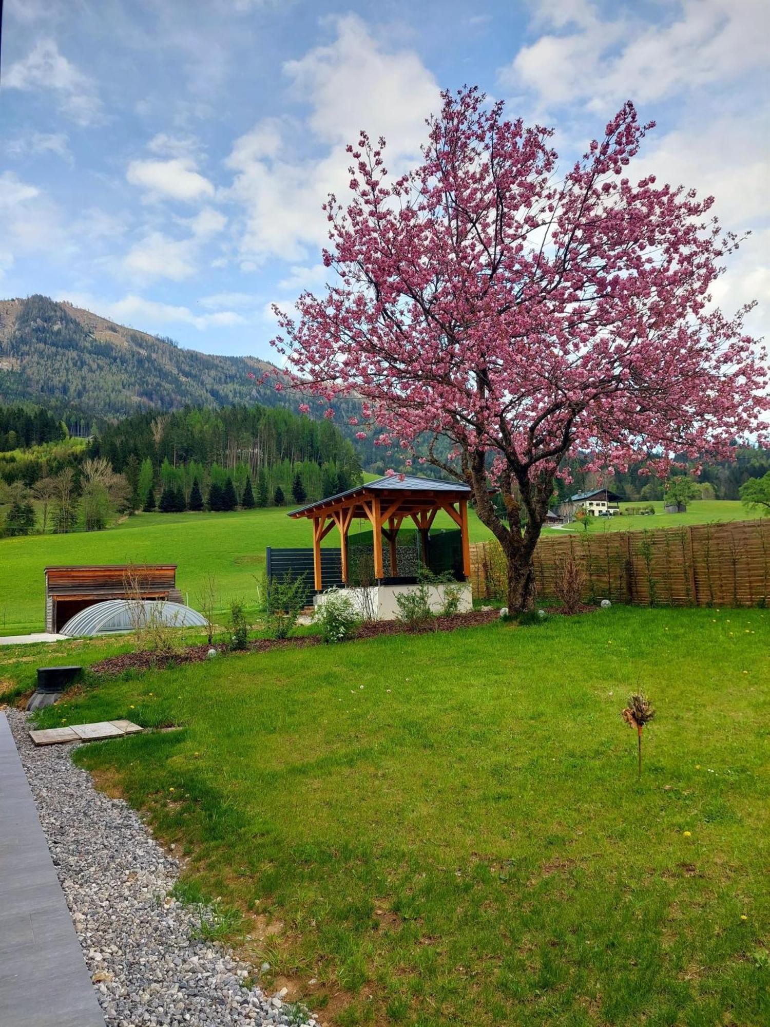 Hofpower'S Mountain Feeling Lägenhet Hinterstoder Exteriör bild